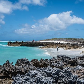 Atove Flyfish Adventures 11-2016 2016-11-flyfish-adventures-seychellen-astove02_1.jpg